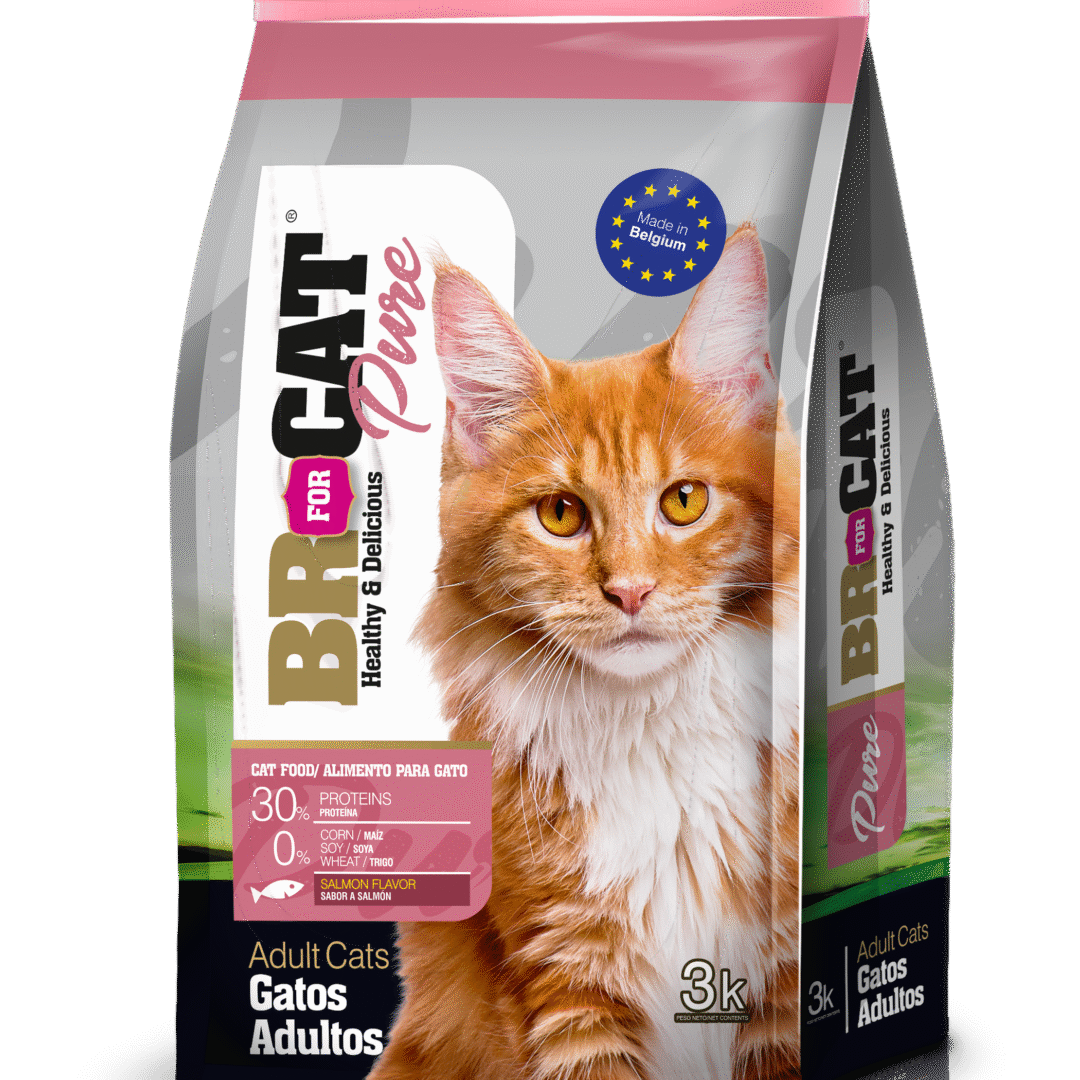 BR For Cat Adulto Sabor Salmón De 3 Kg