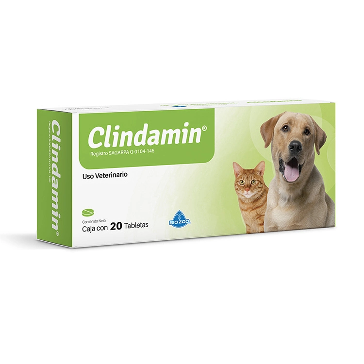 Clindamin Blister X Unidad