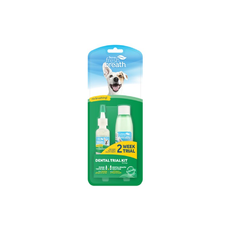 Kit Cuidado Oral Gel Dental