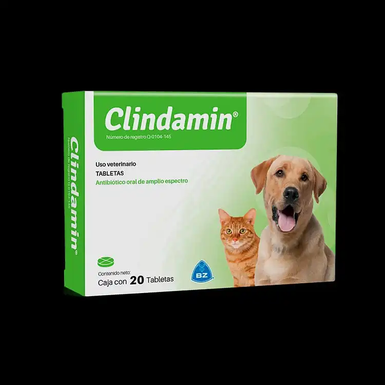 Clindamin Blister X Unidad