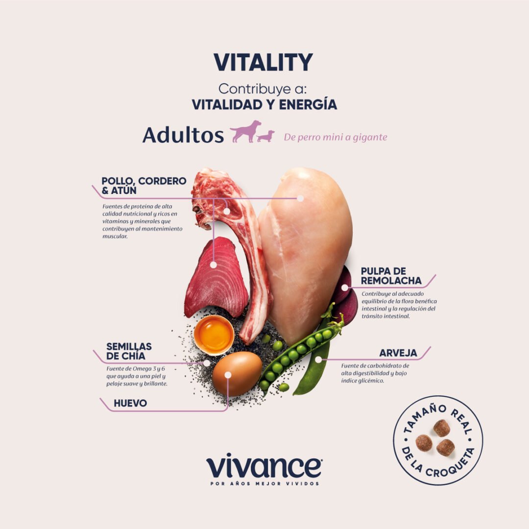 Vivance Vitality Adultos - Image 2
