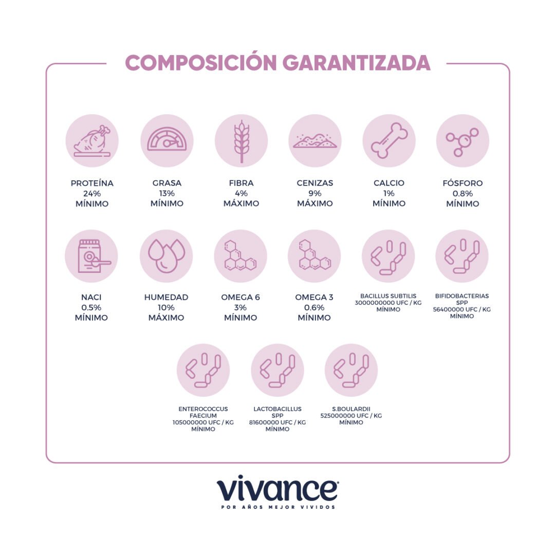 Vivance Vitality Adultos - Image 4