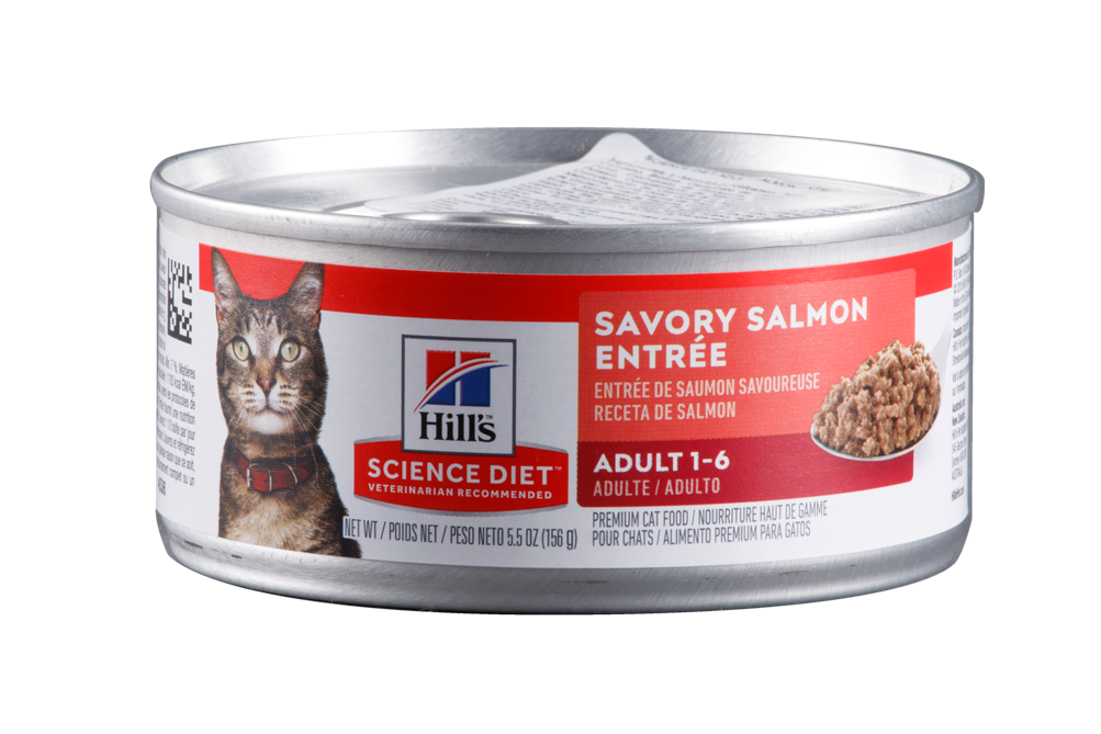 Lata Hills Salmon Gato Adulto 156g
