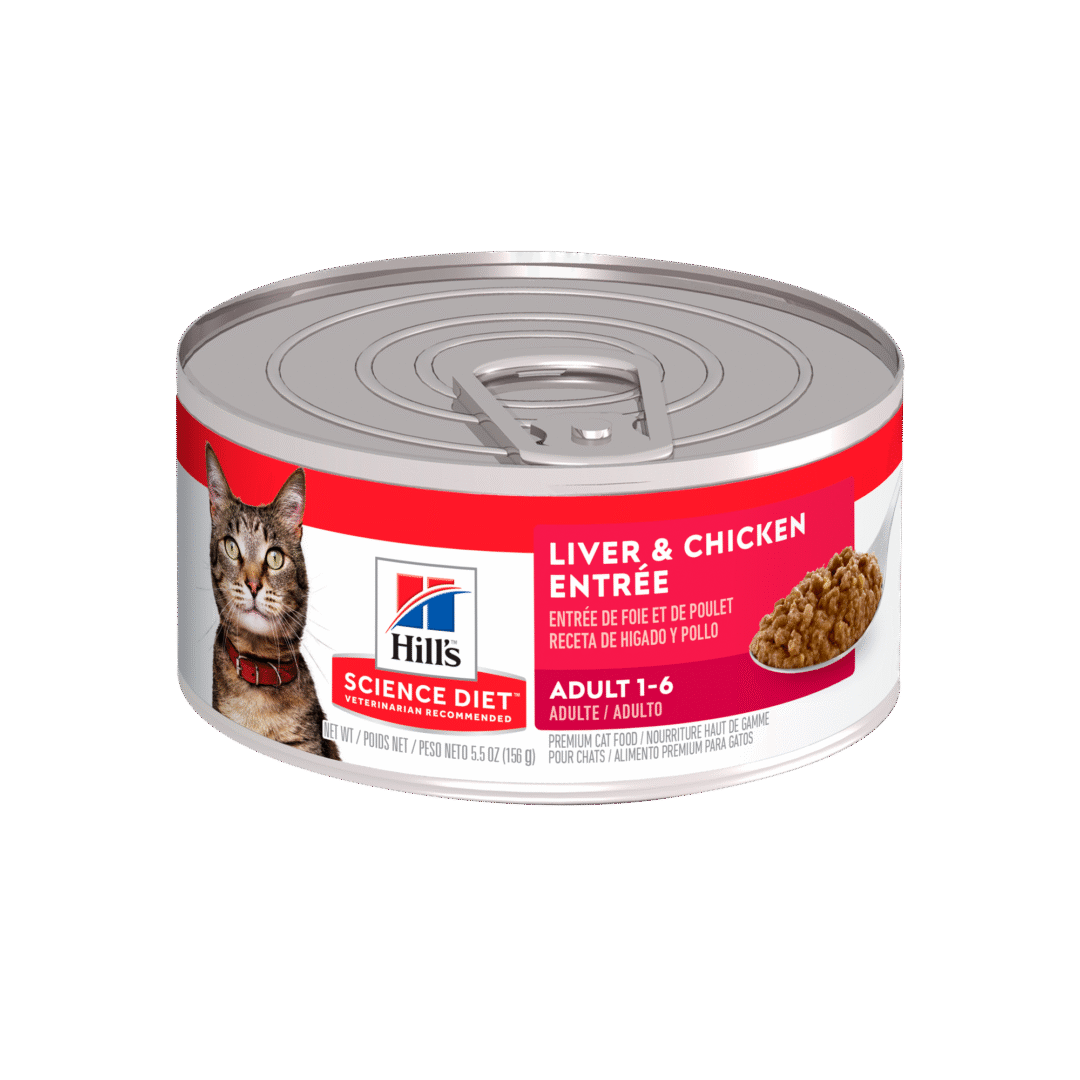 Lata Hills Liver and Chicken Gato Adulto 156g