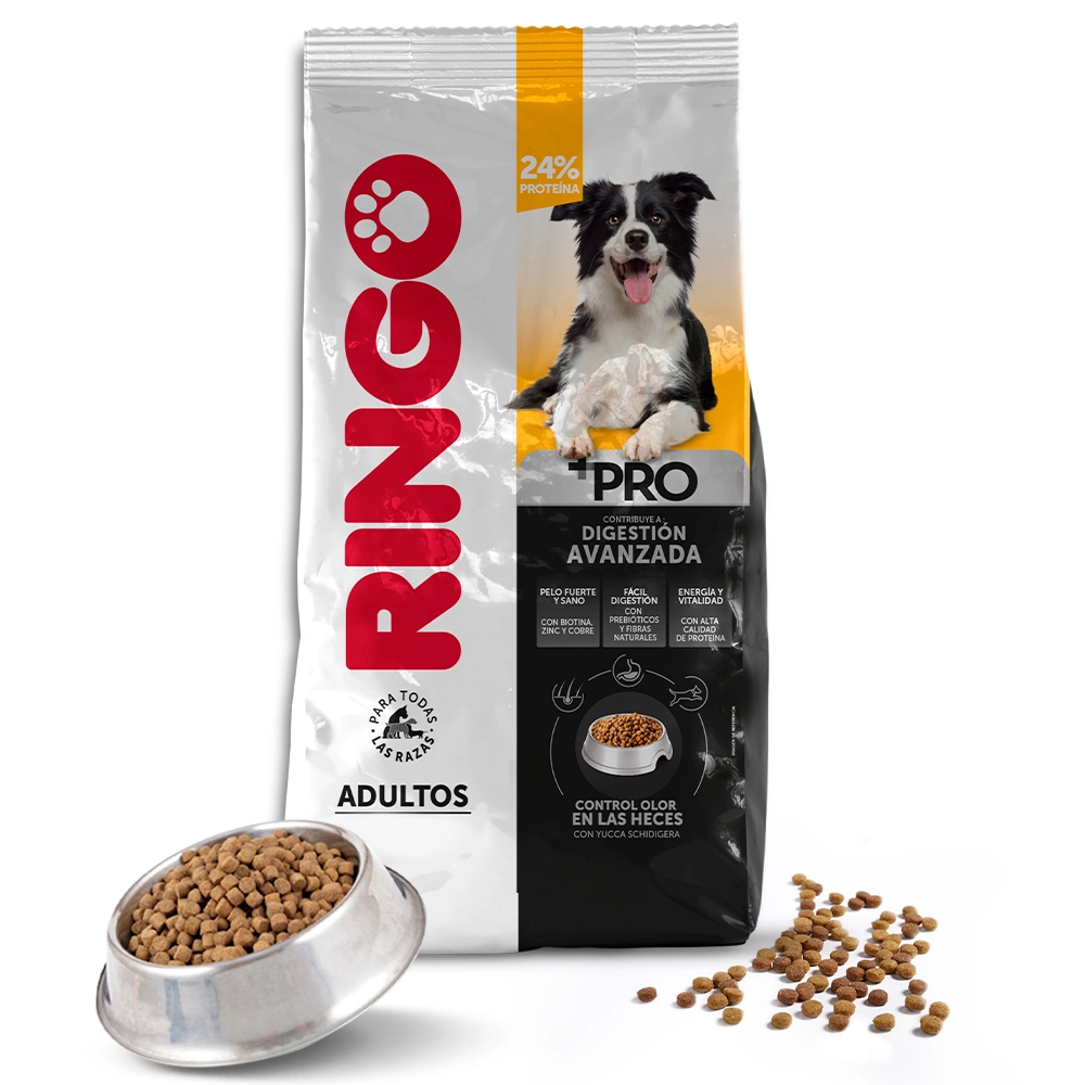 Ringo +PRO Adultos