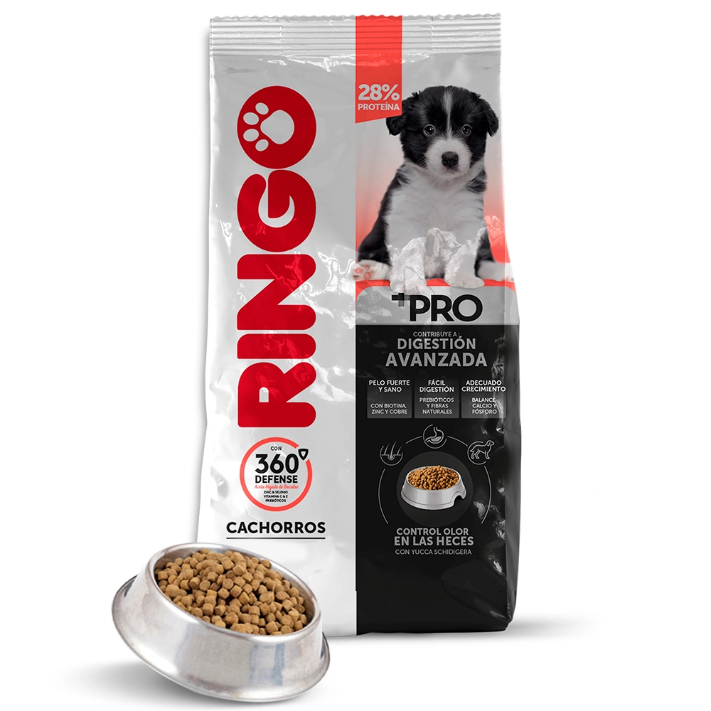 Ringo +PRO Cachorros