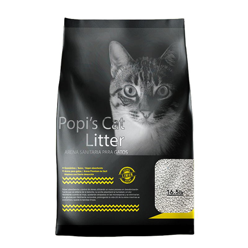 Arena Popis Cat Cafe