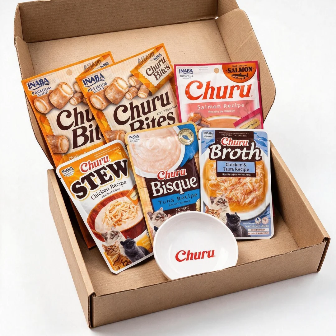 CHURU BOX GATO