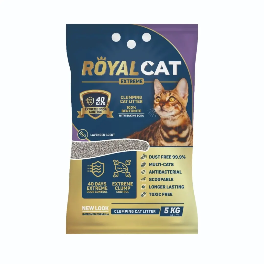 Arena Royal Cat Lavanda